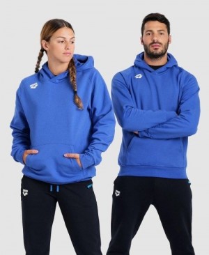 Arena Team Hooded Sweatshirt Panel Royal | 28704-HDUW