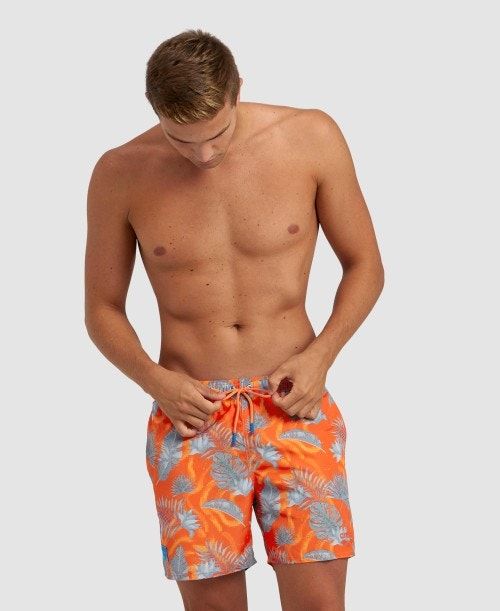 Arena Allover Beach Boxer Grey Multicolor | 12364-LETJ