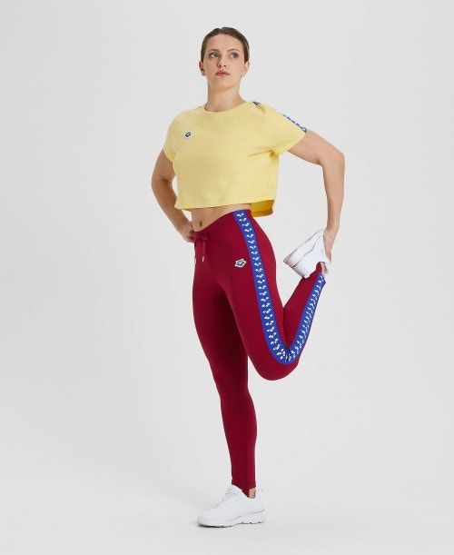 Arena Caroline Team Pant Burgundy / Blue | 17426-CNIW