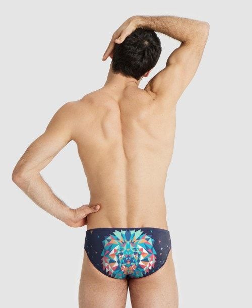 Arena Drew Kibler Collection Brief Multicolor | 42378-WCLT