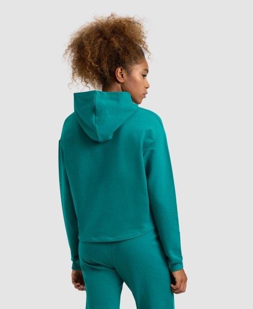 Arena Hooded Fleece Sweatshirt Green | 96302-CTVI