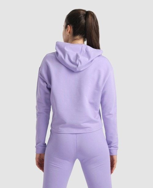 Arena Hooded Fleece Sweatshirt Multicolor | 54829-PTNL