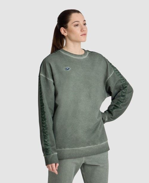 Arena Icons Oversize Sweatshirt Multicolor | 73248-AOPH