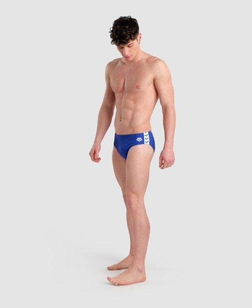 Arena Icons Solid Brief Royal | 07849-QSNV