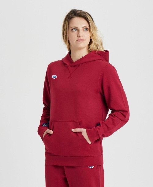 Arena Icons Solid Hooded Sweatshirt Burgundy / Blue | 45961-XLVK