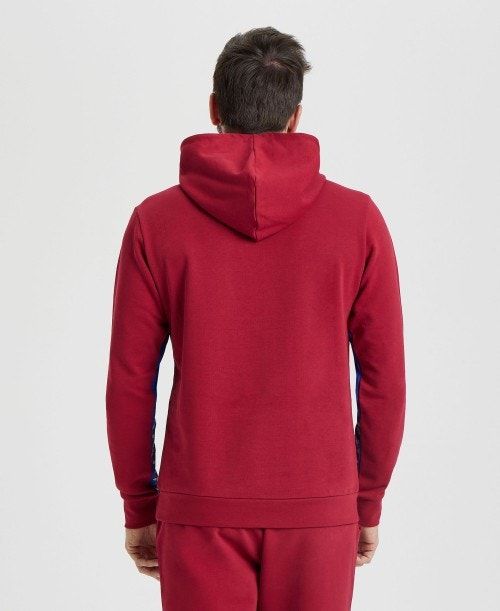 Arena Icons Solid Hooded Sweatshirt Burgundy / Blue | 45961-XLVK