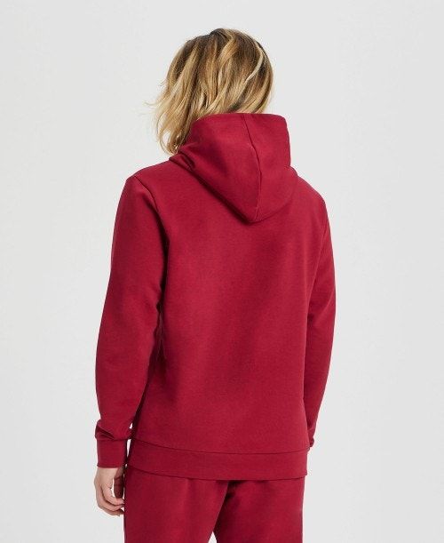 Arena Icons Solid Hooded Sweatshirt Burgundy / Blue | 45961-XLVK