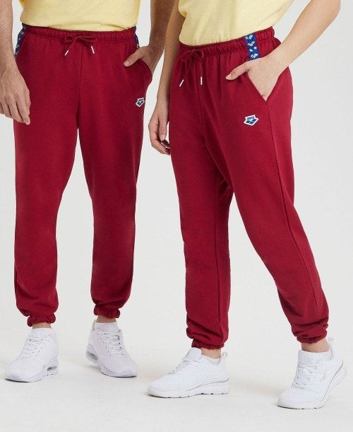 Arena Icons Solid Pant Burgundy / Blue | 90123-CUGP