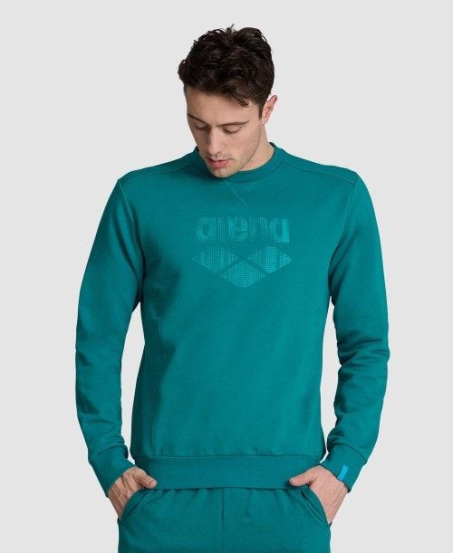 Arena Logo Crewneck Green | 48510-DQTK