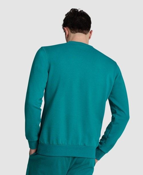 Arena Logo Crewneck Green | 48510-DQTK