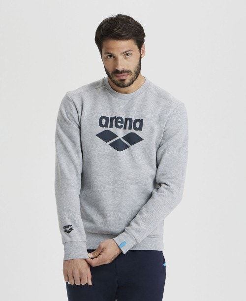 Arena Logo Crewneck Grey | 68790-QFKR