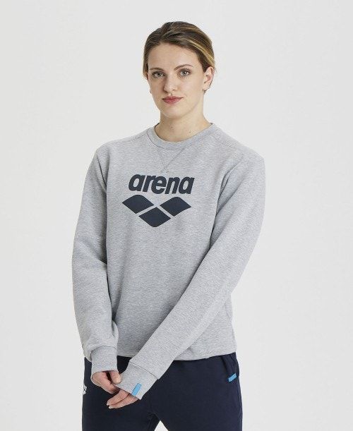 Arena Logo Crewneck Grey | 68790-QFKR