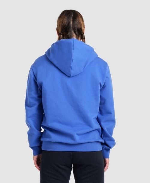 Arena Team Hooded Jacket Panel Royal | 26938-EAMU