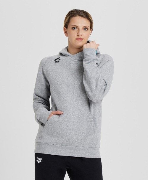 Arena Team Hooded Sweatshirt Panel Grey | 93564-CFVE