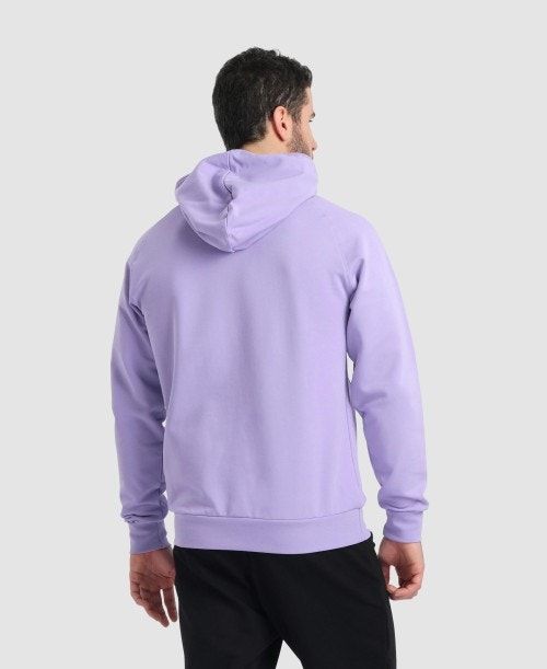 Arena Team Hooded Sweatshirt Panel Multicolor | 90781-BIUS