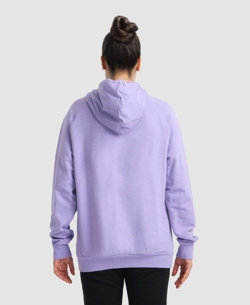 Arena Team Hooded Sweatshirt Panel Multicolor | 90781-BIUS