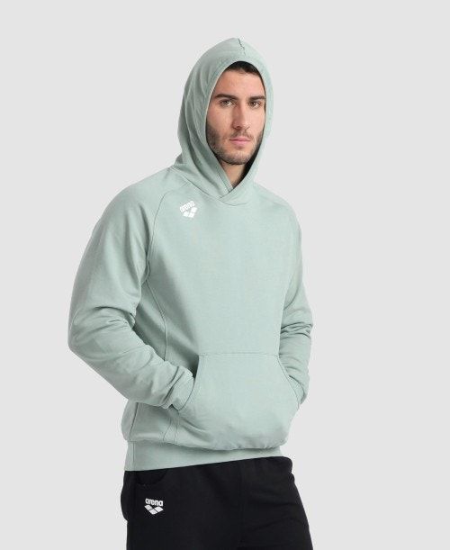 Arena Team Hooded Sweatshirt Panel Multicolor | 75802-BGFD