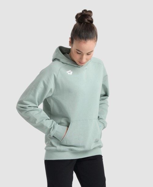 Arena Team Hooded Sweatshirt Panel Multicolor | 75802-BGFD