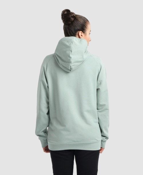 Arena Team Hooded Sweatshirt Panel Multicolor | 75802-BGFD