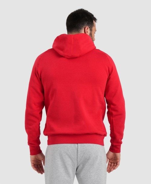 Arena Team Hooded Sweatshirt Panel Red | 90145-XDCP