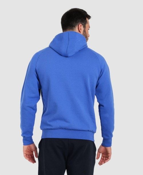 Arena Team Hooded Sweatshirt Panel Royal | 28704-HDUW