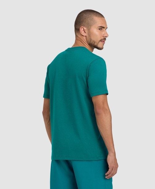 Arena Team T-shirt Panel Green | 01745-QNJG