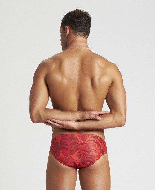 Arena Tropicals Brief Red / Red Multicolor | 04859-RPAK